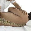 Moses Chiropractic Clinic